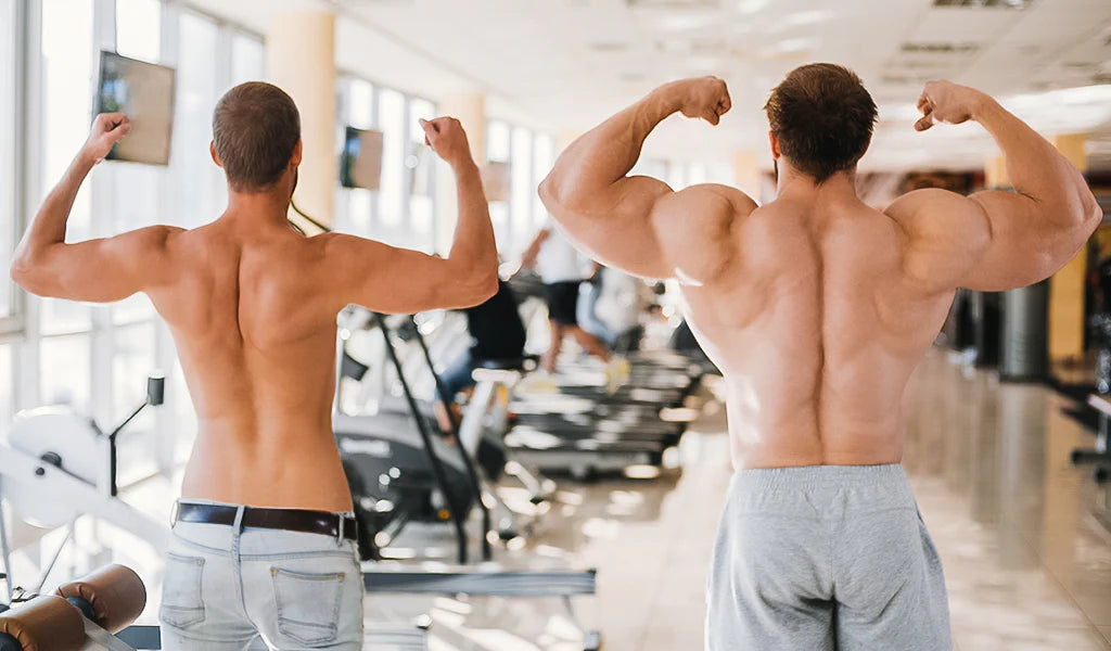 Muskelaufbau für Anfänger Tipps